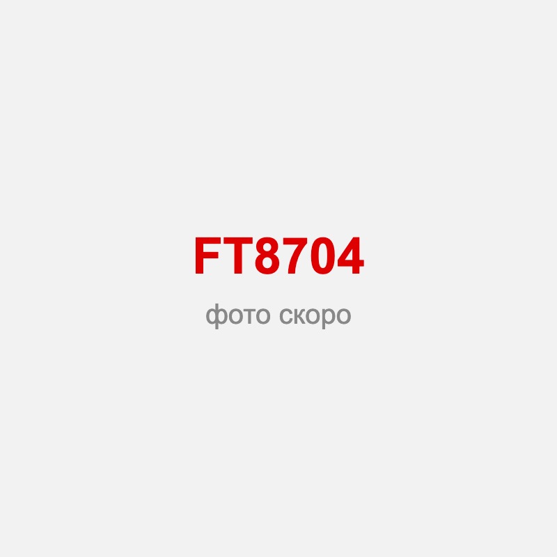 FT8704 Шлифовальная машина для стен 210/850
