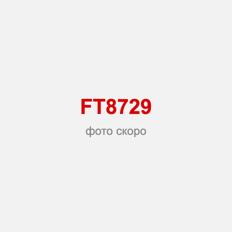 FT8729 Ленточная шлифовальная машина 76/1010E